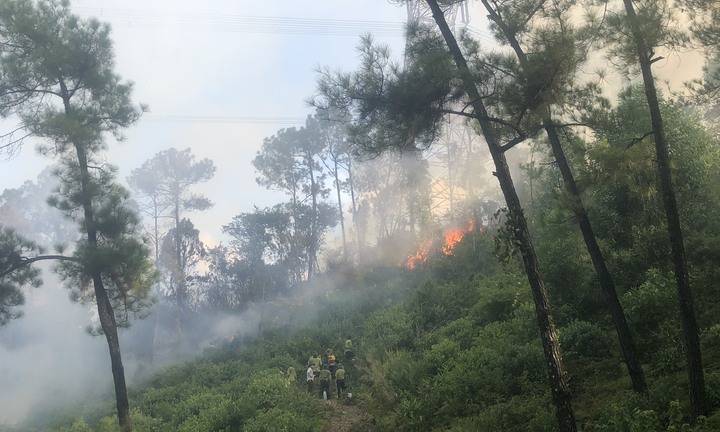 Rừng thông dưới đường dây điện cao thế ở Thừa Thiên - Huế cháy dữ dội