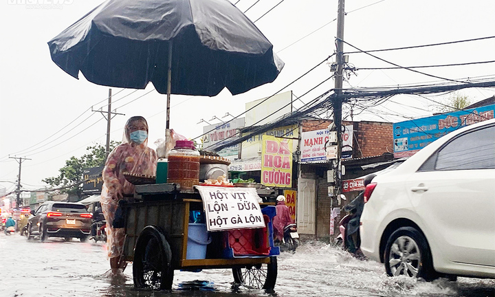 Dự báo thời tiết TP.HCM hôm nay 31/7: Ngày nắng, tối có nơi mưa vừa, mưa to
