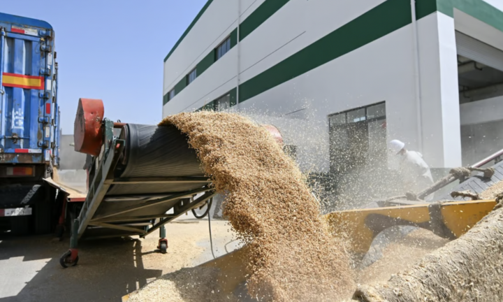 Trung Quốc treo thưởng 20.000 USD cho bất cứ ai tố cáo tham nhũng ngũ cốc