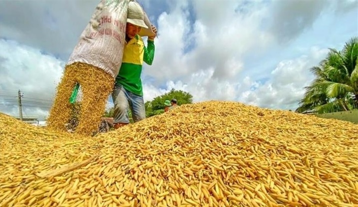 Hỏa tốc đề nghị doanh nghiệp không mua gom gạo ồ ạt làm giá tăng bất hợp lý