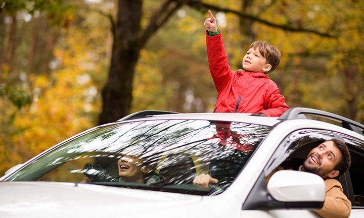 Thò đầu qua cửa sổ trời ô tô 'hóng gió' có vi phạm luật giao thông không?