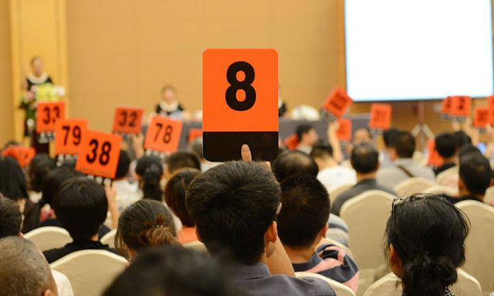 Đề xuất vợ, chồng, anh, chị, em không được tham gia đấu giá cùng một tài sản