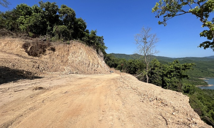 Phá rừng mở đường công vụ ở Quảng Ngãi: Đang củng cố hồ sơ khởi tố