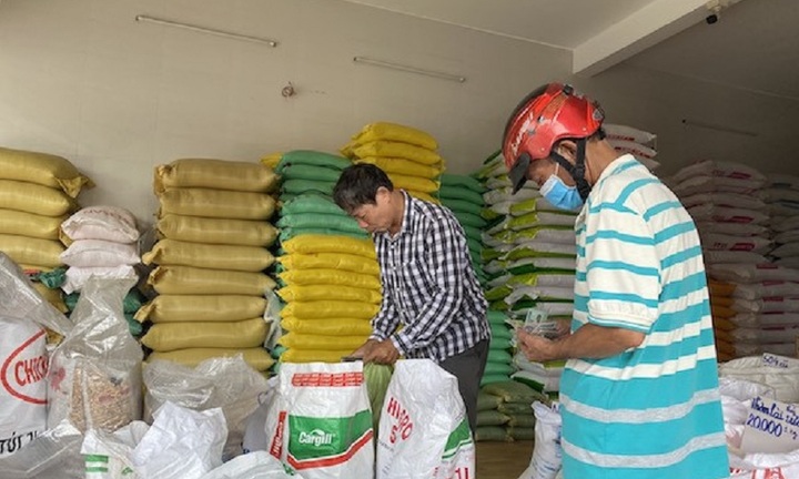 TP.HCM tăng cường kiểm soát giá gạo, yêu cầu báo cáo ngay nếu khan hiếm