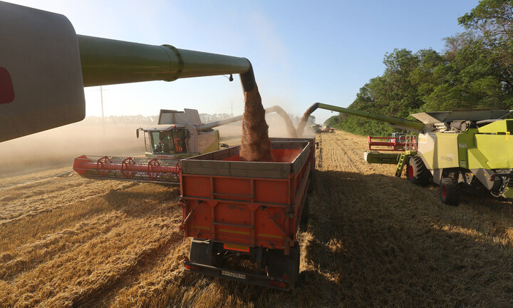 Người Mỹ làm nông ở Nga