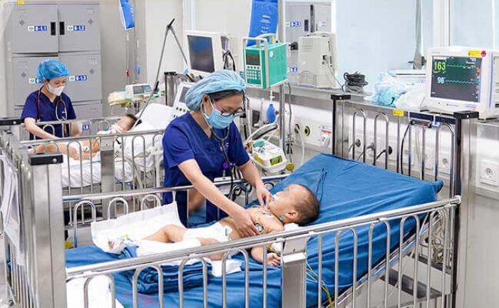 Rắn độc bò vào nhà cắn bé 28 tháng tuổi nguy kịch