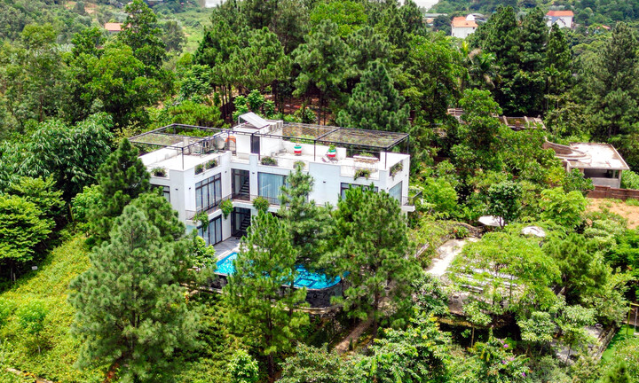 Chi cục Trưởng Kiểm lâm Hà Nội xót trước cảnh rừng Sóc Sơn bị ‘xẻ thịt’