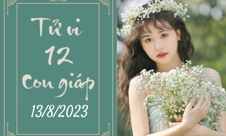 Tử vi vui 12 con giáp hôm nay ngày 13/8/2023: Mão cơ hội, Ngọ bế tắc