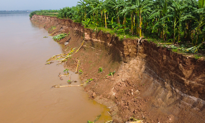 Phú Thọ: Sạt lở nghiêm trọng bờ sông Thao, hơn 1.000 hộ dân bị ảnh hưởng