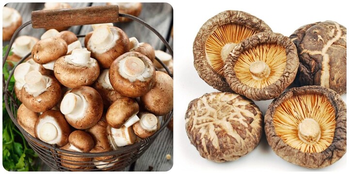 Bệnh gì không nên ăn nấm?