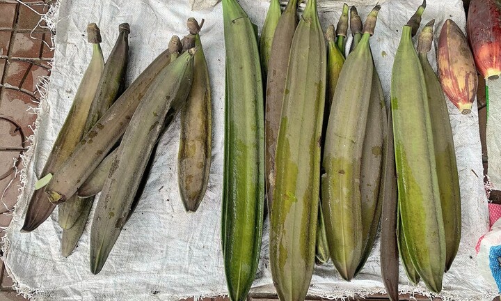 Lên Tây Bắc mùa này nhớ thử món nộm núc nác dân dã thơm ngon