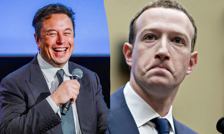 Tỷ phú Elon Musk thừa nhận chỉ đùa khi nói muốn đấu lồng với Mark Zuckerberg 