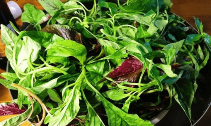 Ba loại rau mọc hoang ngoài vườn giúp bạn cộng thêm tuổi thọ, cả đời ít ốm đau