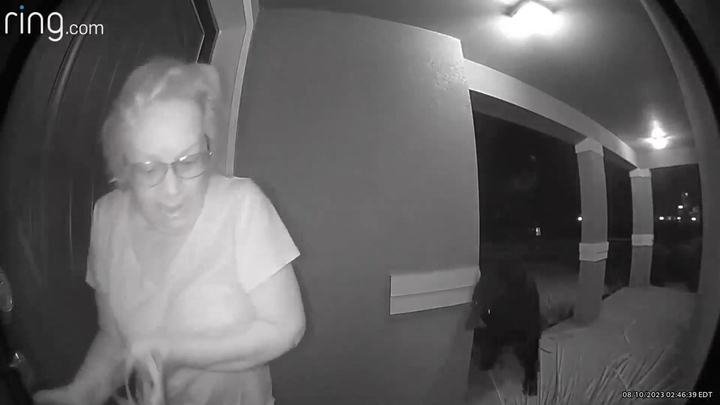 Giây phút cụ bà đối mặt gấu hoang trước cửa nhà