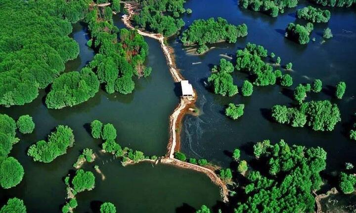 TP.HCM đề cử rừng phòng hộ Cần Giờ thành khu Ramsar