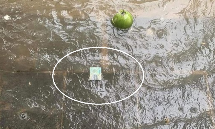 Mưa ra tiền thế này thì ngập mấy cũng chịu