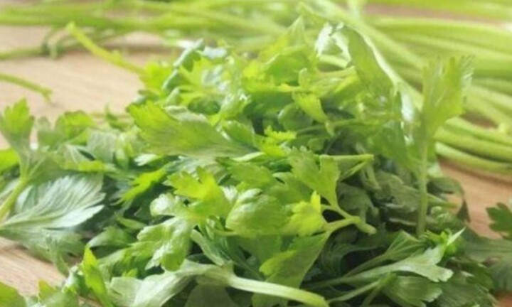 Lý do nhiều người không ăn lá cần tây