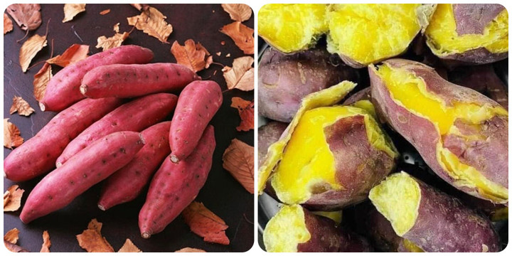 Sáng ăn khoai lang có tốt không?