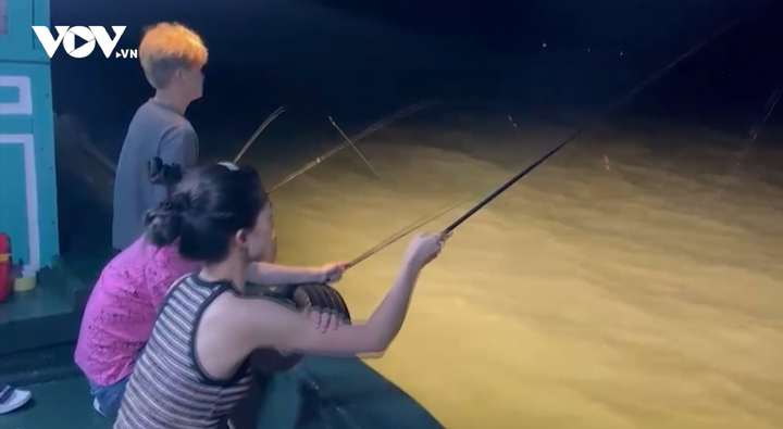 Nở rộ du lịch tự phát 'lên đảo hoang, câu mực đêm' trên vịnh Hạ Long