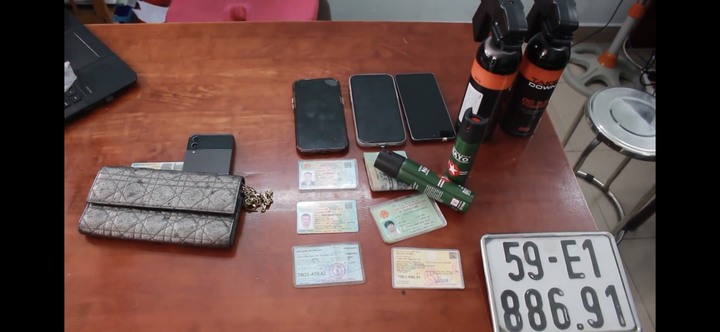 Tạm giữ 2 nam thanh niên cướp giật tài sản mang theo bình xịt hơi cay