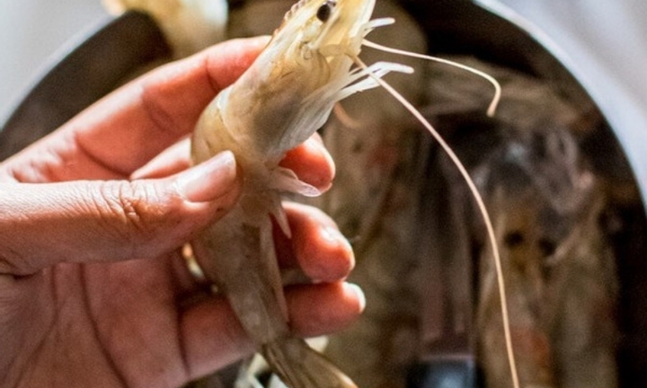 Tình cờ phát hiện ung thư sau khi bị râu tôm chọc vào ngón tay