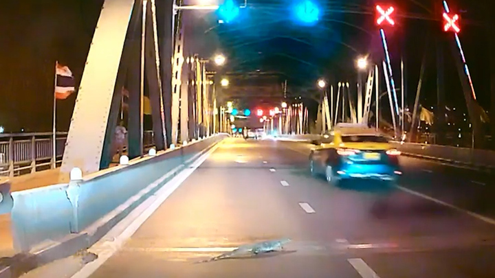 Thằn lằn xuất hiện trên cầu, hàng loạt phương tiện dừng lại nhường đường