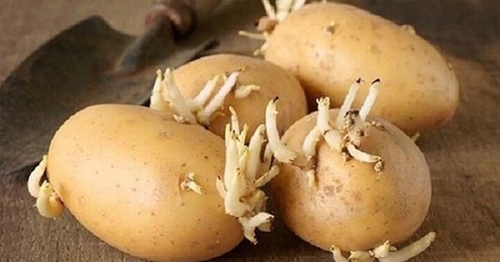 Những loại rau chứa độc tố bạn nên tránh ăn