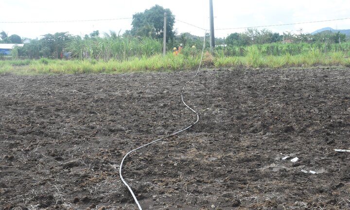 Đang sửa chữa đường dây, 2 công nhân điện lực ở Phú Yên thương vong 