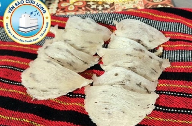 Yến sào Cửu Long - Sửa chữa nhà yến miễn phí