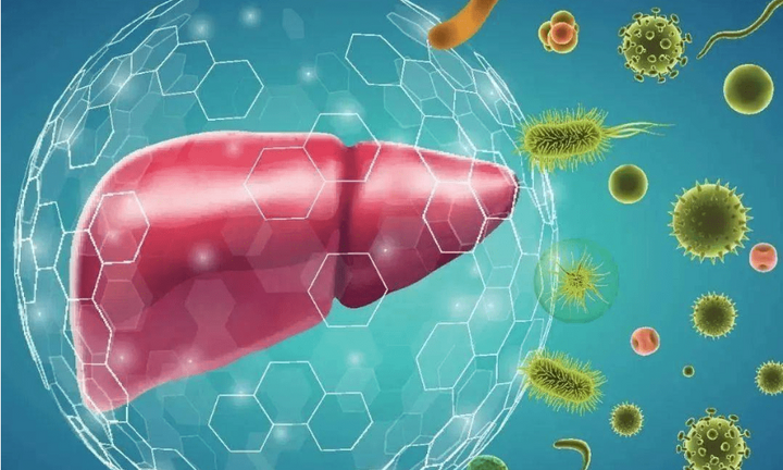 Hai dấu hiệu ở chân cảnh báo gan đang kêu cứu