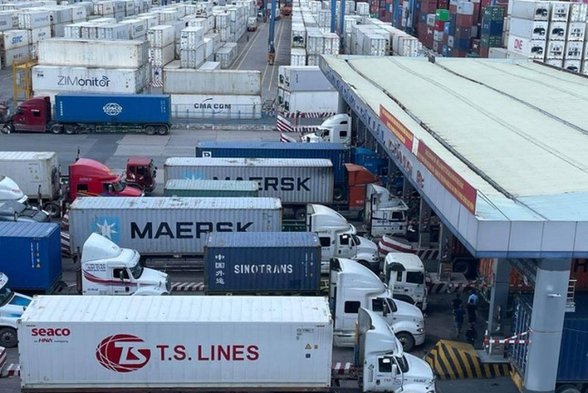 Hàng trăm container chuối, mít, sầu riêng bất ngờ bị 'tuýt còi' xuất Trung Quốc