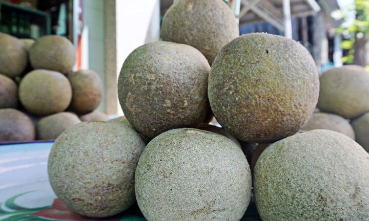 Về miền Tây nhớ tìm thử loại quả bổ ra đen sì, nhưng làm món nào cũng mê