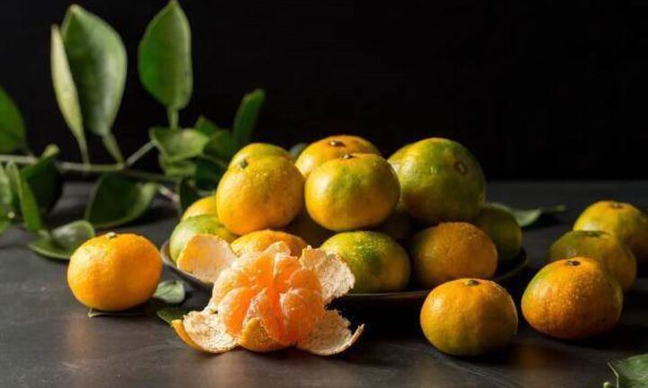 Loại quả ví như 'ngọc vàng trời ban', ăn 1 quả bằng uống 5 vị thuốc bổ