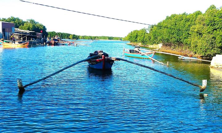 Bình Định: Tàu giã cào, xung điện ngang nhiên tận diệt thủy sản