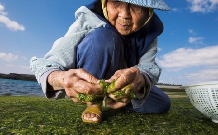 Bí quyết của những người sống thọ nhất thế giới