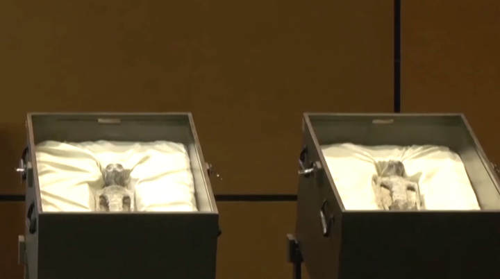 Mexico: Trưng bày 2 hài cốt nghi của 'người ngoài hành tinh'