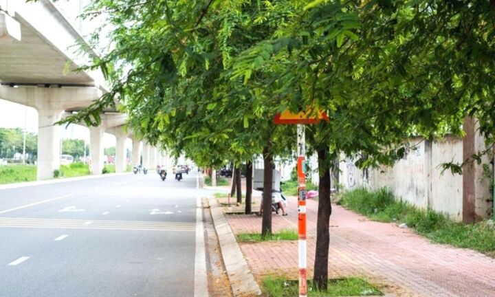 Biển báo bị che khuất có hiệu lực?