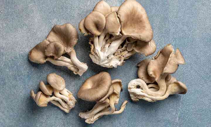 3 lý do vì sao nấm được ví 'bổ ngang thịt'
