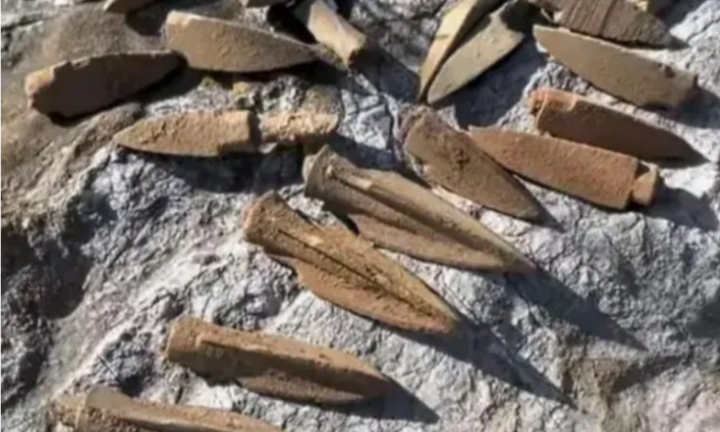 Ông lão lên núi đào được dao gỉ sét, đem bán ai ngờ hốt bạc tỷ