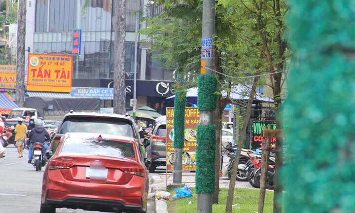 TP.HCM: Quận 5 tháo cỏ nhựa quấn quanh trụ điện
