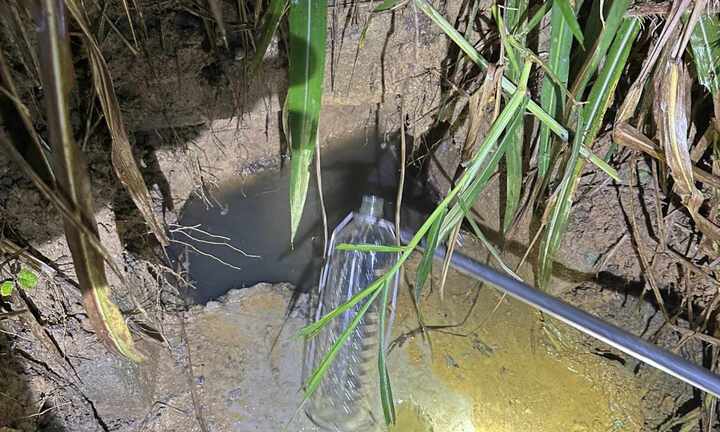 Hai doanh nghiệp xả thải ra sông ở Quảng Trị, dân sợ không dám nuôi tôm