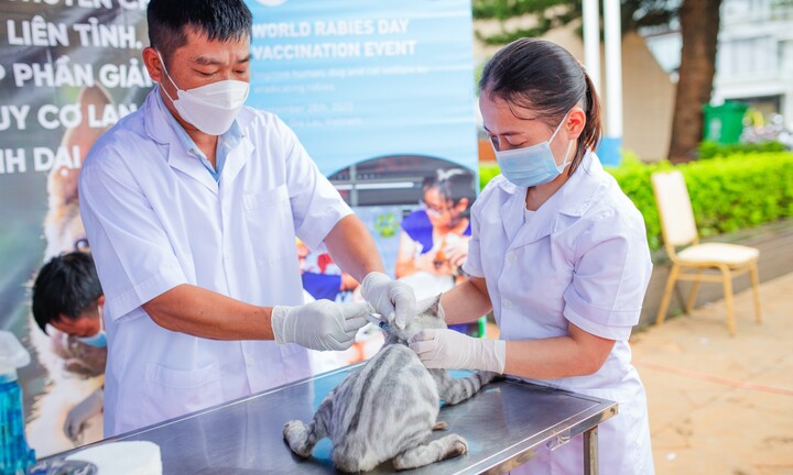 Tiêm phòng bệnh dại chó mèo miễn phí ở Gia Lai