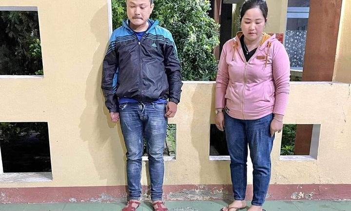 Tạm giữ hình sự đôi nam nữ mua bán trái phép động vật hoang dã ở Quảng Nam