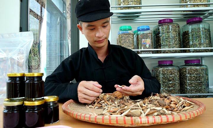 Bài thuốc chữa viêm đại tràng từ những loại cây quen thuộc