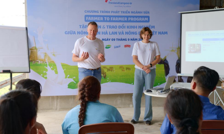 Học cách người Hà Lan chăn nuôi bò sữa bền vững