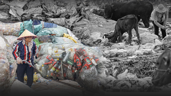 Chai nhựa, túi nylon - kẻ sát nhân đang khiến mỗi người chết mòn