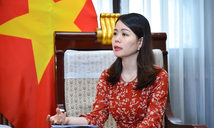 Thứ trưởng Bộ Ngoại giao Nguyễn Minh Hằng nhận thêm nhiệm vụ