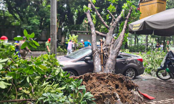 Những khu vực không nên đỗ ô tô khi trời mưa bão