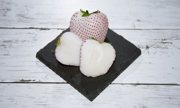 Bí mật thú vị loại dâu tây Bạch Tuyết Nhật Bản giá mỗi quả hàng trăm nghìn đồng