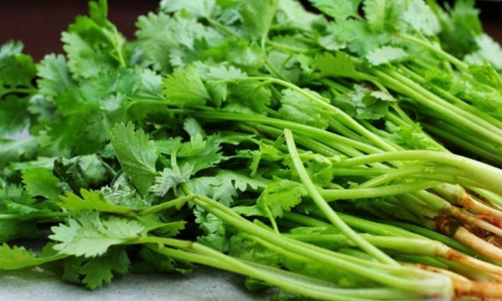 4 công dụng vàng thuyết phục bạn nên uống nước rau mùi thường xuyên